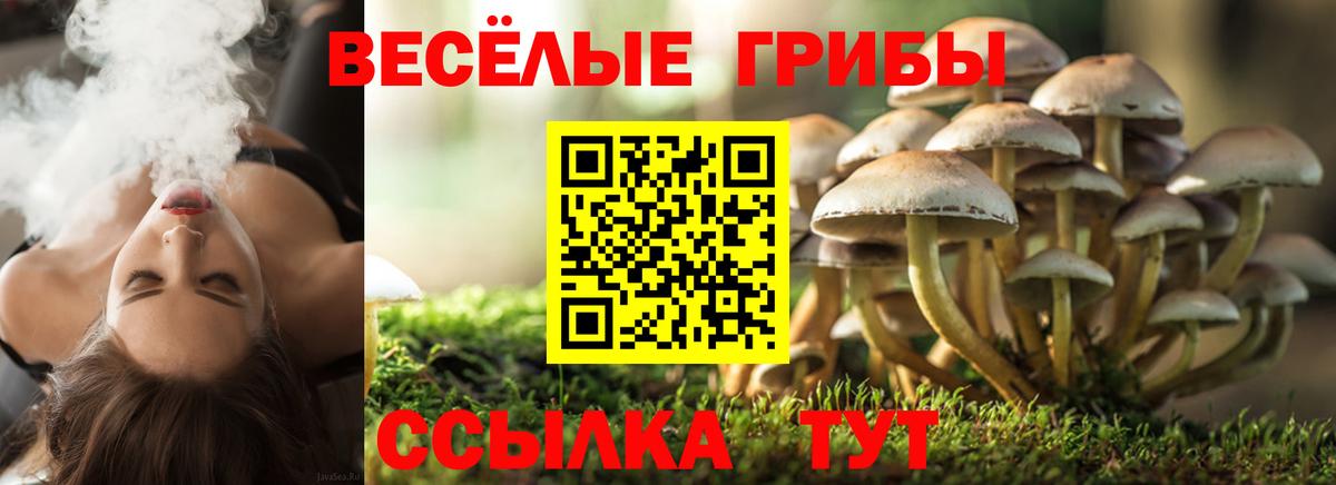 Галлюциногенные грибы ЛСД  Вход с VPN  Псилоцибиновые грибы Psilocybine cubensis  Аргун 